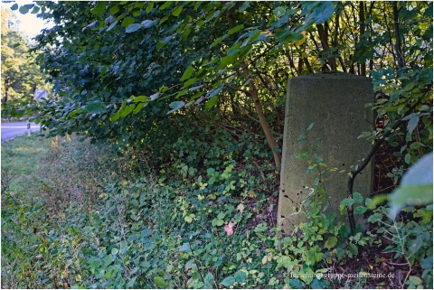 Lippischer Ganzmeilenstein Blomberg