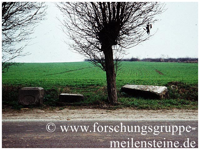 Meilenstein Magdeburg
